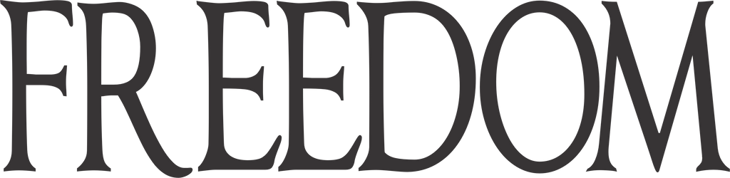 Charlie Kirk Freedom  T-Shirt